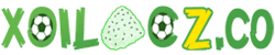 Tóc Nam đẹp Layer - zxx